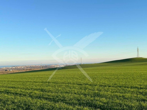 Парцел в с. Тънково, Област Бургас - 3100 кв.м за 5 €/кв.м - Снимка #1