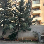 Гараж / Паркомясто в Стара Загора, Аязмото - 24 кв.м за 848 €/кв.м - Снимка #1