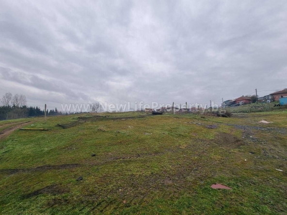 Парцел в с. Тънково, Област Бургас - 1999 кв.м за 13 €/кв.м - Снимка #1