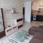 Дава се под наем Двустаен апартамент в София, Зона Б-5 - 65 кв.м за 425 € - Снимка #1