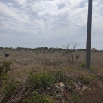 Парцел в с. Топола, Област Добрич - 1116 кв.м за 22 €/кв.м - Снимка #1