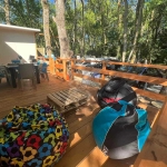 Къща в Царево - 95 кв.м за 231 €/кв.м - Снимка #1