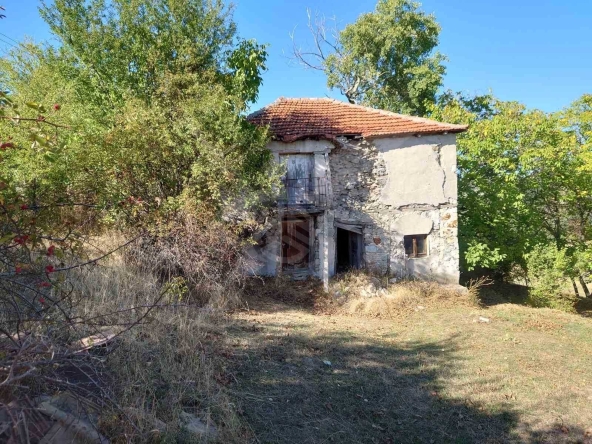 Парцел в с. Три могили, Област Пловдив - 1000 кв.м за 9 €/кв.м - Снимка #1