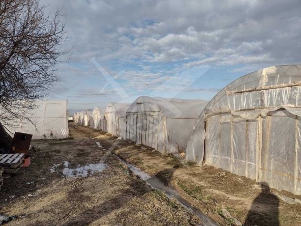 Парцел в Пловдив, Индустриална зона - Изток - 8400 кв.м за 27 €/кв.м - Снимка #1