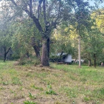 Парцел в с. Рибарица, Област Ловеч - 1765 кв.м за 13 €/кв.м - Снимка #1