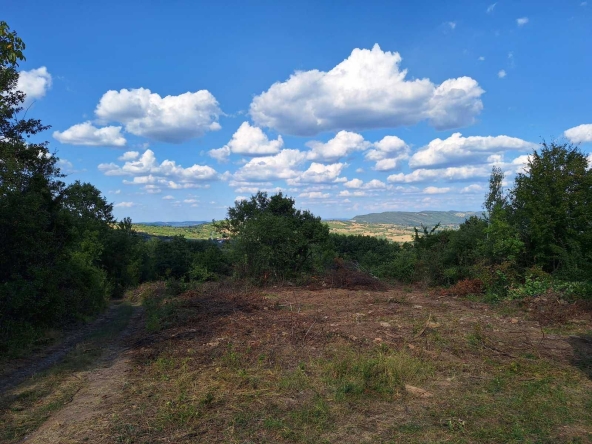 Парцел в с. Влайчовци, Област Габрово - 9900 кв.м за 6 €/кв.м - Снимка #1