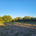 Парцел в с. Бошуля, Област Пазарджик - 4000 кв.м за 8 €/кв.м - Снимка #1