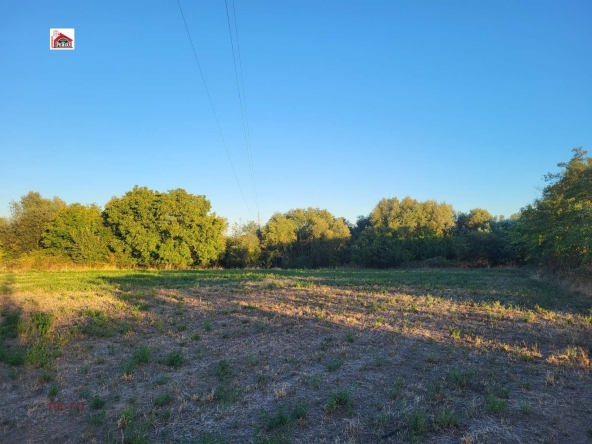 Парцел в с. Бошуля, Област Пазарджик - 4000 кв.м за 8 €/кв.м - Снимка #1