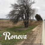 Парцел в с. Тополи, Област Варна - 2850 кв.м за 25 €/кв.м - Снимка #1