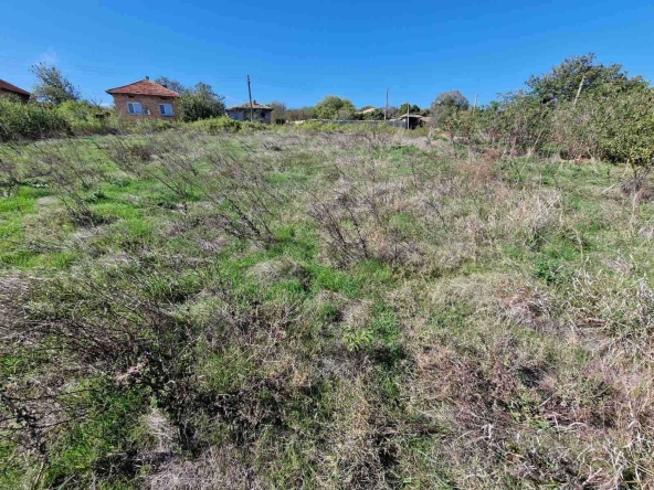 Парцел в с. Златна нива, Област Шумен - 1160 кв.м за 7 €/кв.м - Снимка #1