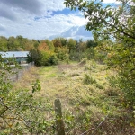 Парцел в Разград, Промишлена зона - Запад - 727 кв.м за 21 €/кв.м - Снимка #1