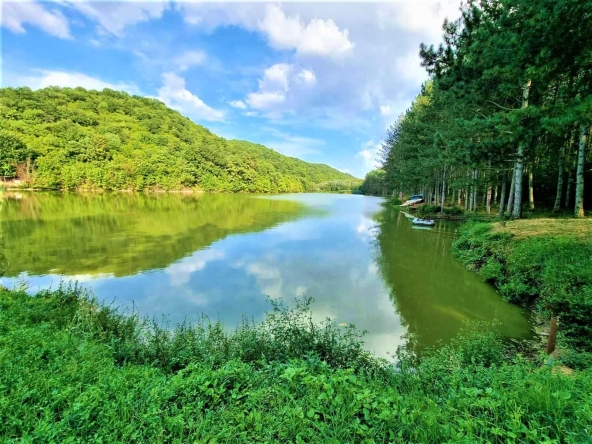 Парцел в с. Могилино, Област Русе - 55404 кв.м за 2 €/кв.м - Снимка #1