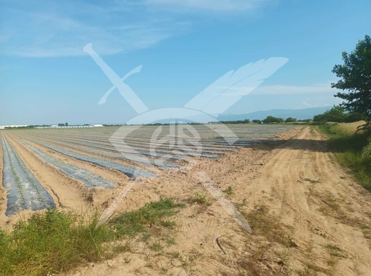 Парцел в с. Труд, Област Пловдив - 10796 кв.м за 13 €/кв.м - Снимка #1