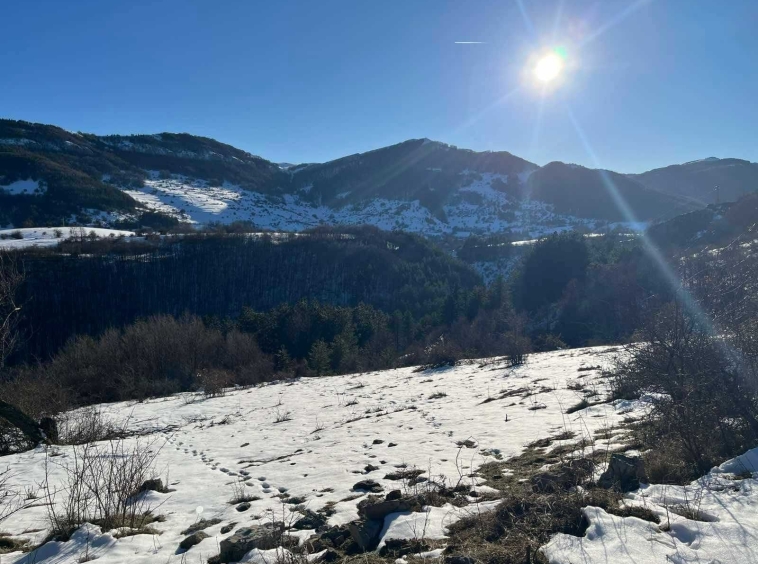 Земеделски имот в с. Зимевица, Област София-област -  кв.м за 9 €/дка - Снимка #1