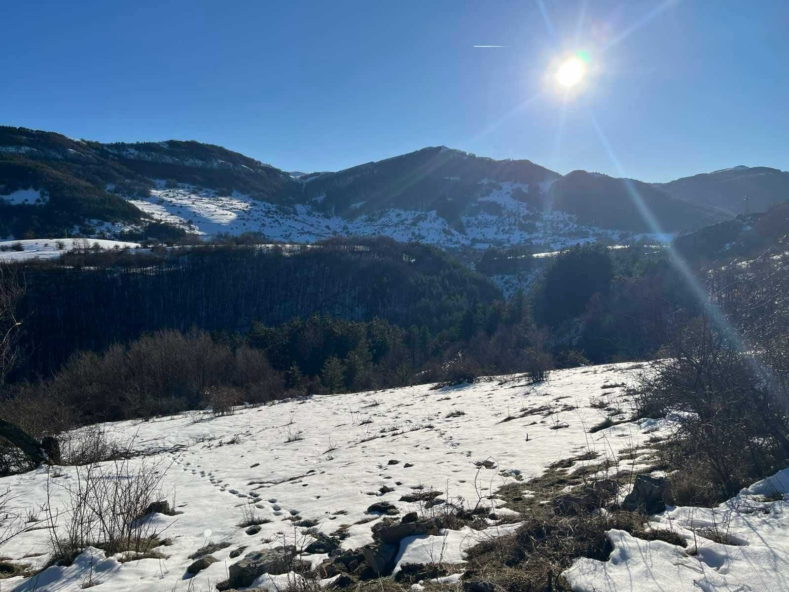 Земеделски имот в с. Зимевица, Област София-област -  кв.м за 9 €/дка - Снимка #1