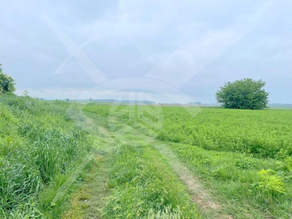 Парцел в с. Ягодово, Област Пловдив - 2750 кв.м за 9 €/кв.м - Снимка #1