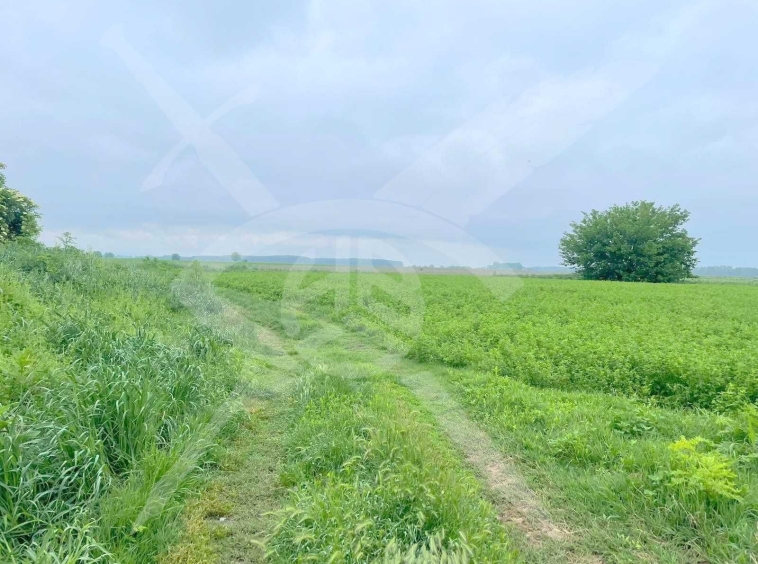 Парцел в с. Ягодово, Област Пловдив - 2750 кв.м за 9 €/кв.м - Снимка #1