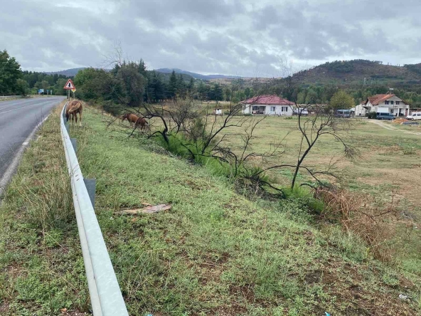 Парцел в Баня - 1900 кв.м за 11 €/кв.м - Снимка #1