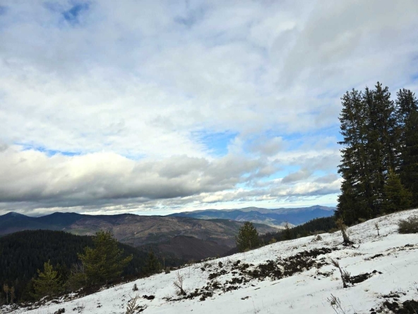 Парцел в с. Зорница, Област Смолян - 42184 кв.м за 4 €/кв.м - Снимка #1