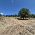 Парцел в с. Басарбово, Област Русе - 1550 кв.м за 17 €/кв.м - Снимка #1