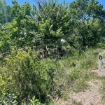 Парцел в с. Ягодово, Област Пловдив - 9003 кв.м за 7 €/кв.м - Снимка #1