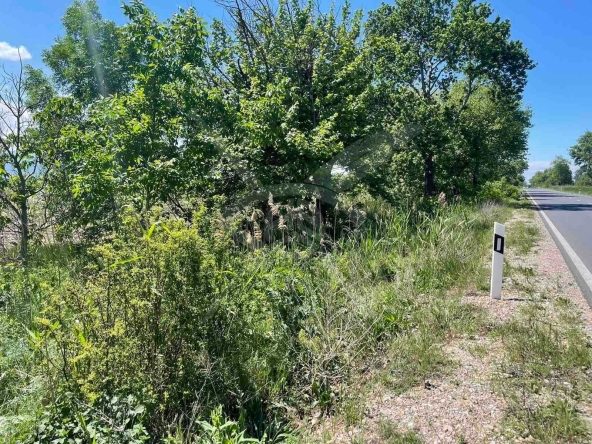 Парцел в с. Ягодово, Област Пловдив - 9003 кв.м за 7 €/кв.м - Снимка #1