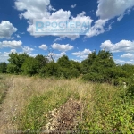 Парцел в Търговище, Вилна зона - 1050 кв.м за 7 €/кв.м - Снимка #1