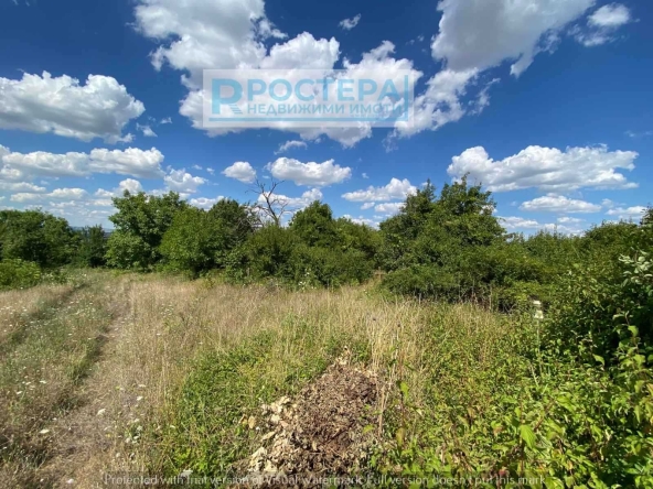 Парцел в Търговище, Вилна зона - 1050 кв.м за 7 €/кв.м - Снимка #1