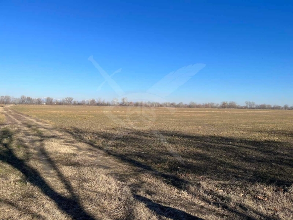 Парцел в с. Ягодово, Област Пловдив - 10693 кв.м за 18 €/кв.м - Снимка #1