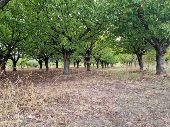 Парцел в с. Марково, Област Пловдив - 2850 кв.м за 25 €/кв.м - Снимка #1