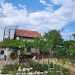 Къща в Силистра, Митница - 42 кв.м за 401 €/кв.м - Снимка #1