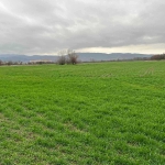 Парцел в Баня - 1318 кв.м за 6 €/кв.м - Снимка #1