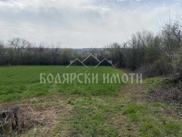 Парцел в с. Русаля, Област Велико Търново - 1787 кв.м за 3 €/кв.м - Снимка #1
