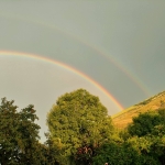 Парцел в с. Рашовица, Област Монтана - 775 кв.м за 7 €/кв.м - Снимка #1