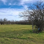 Парцел в с. Стефан Караджа, Област Варна - 1477 кв.м за 3 €/кв.м - Снимка #1