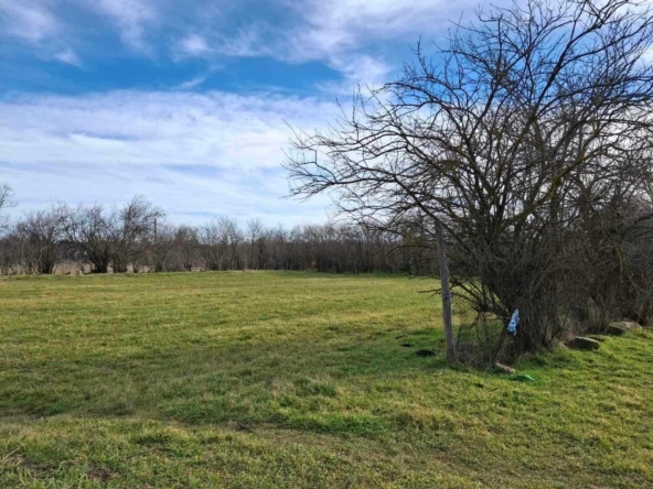 Парцел в с. Стефан Караджа, Област Варна - 1477 кв.м за 3 €/кв.м - Снимка #1