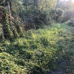 Парцел в с. Гергини, Област Габрово - 880 кв.м за 11 €/кв.м - Снимка #1