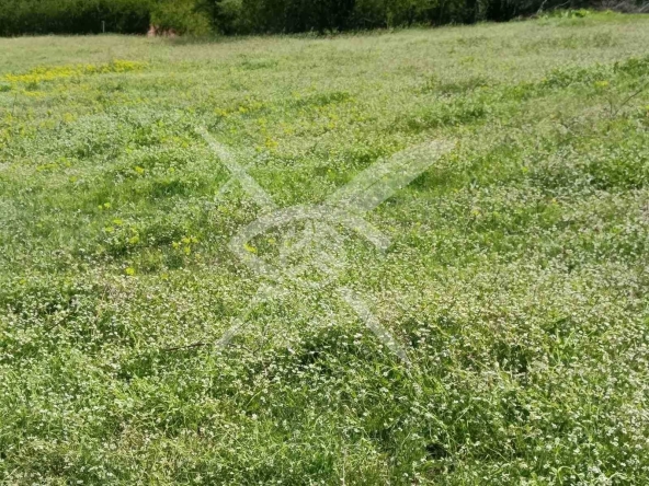 Парцел в Карлово - 644 кв.м за 9 €/кв.м - Снимка #1