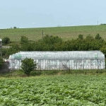 Заведение в Димитровград - 900 кв.м за 47 €/кв.м - Снимка #1