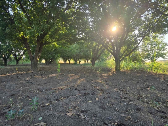 Парцел в Силистра, Север - 1960 кв.м за 11 €/кв.м - Снимка #1