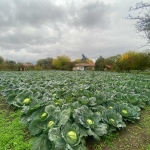 Къща в Варна, Левски - 100 кв.м за 189 €/кв.м - Снимка #1