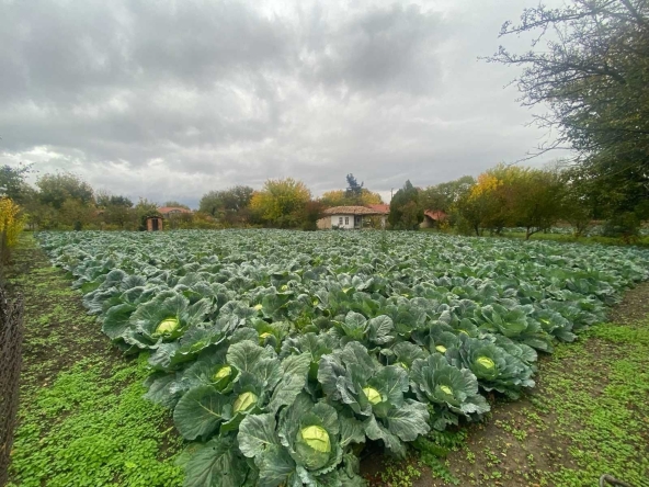 Къща в Варна, Левски - 100 кв.м за 189 €/кв.м - Снимка #1