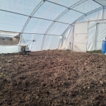 Дава се под наем Парцел в с. Куманово, Област Варна - 70 кв.м за 40.8 € - Снимка #1