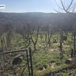 Парцел в с. Радишево, Област Плевен - 960 кв.м за 18 €/кв.м - Снимка #1