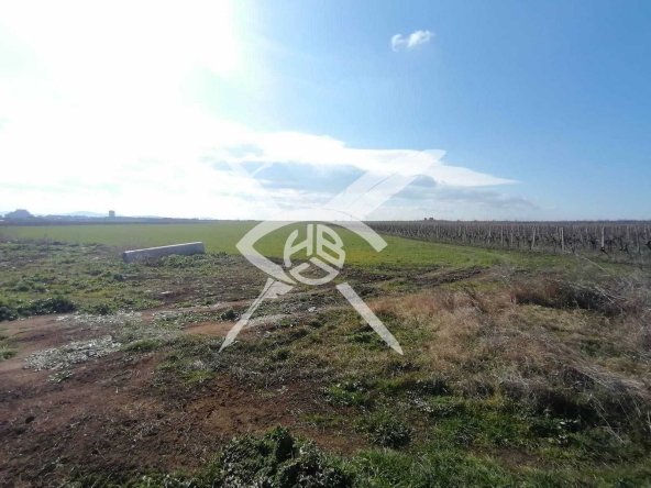 Парцел в Поморие - 2400 кв.м за 32 €/кв.м - Снимка #1