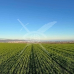 Парцел в с. Тънково, Област Бургас - 805 кв.м за 19 €/кв.м - Снимка #1