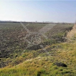 Парцел в с. Костиево, Област Пловдив - 31640 кв.м за 21 €/кв.м - Снимка #1