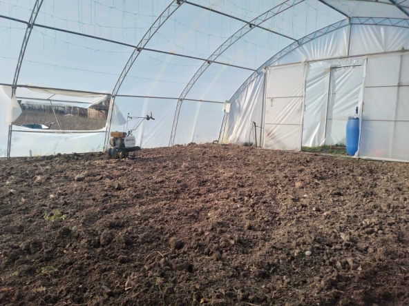 Дава се под наем Парцел в с. Куманово, Област Варна - 70 кв.м за 40.8 € - Снимка #1