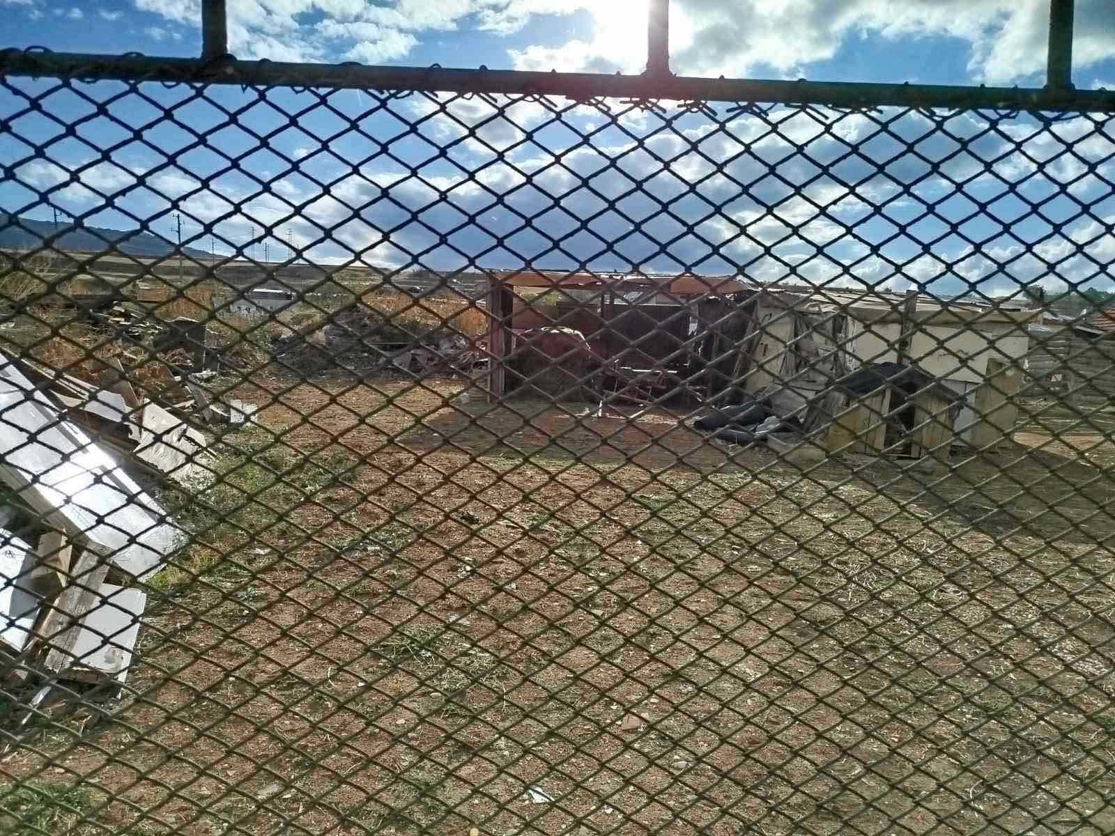 Земеделски имот в Асеновград -  кв.м за 12 €/дка - Снимка #1