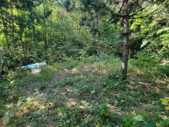 Парцел в с. Бачково, Област Пловдив - 529 кв.м за 9 €/кв.м - Снимка #1